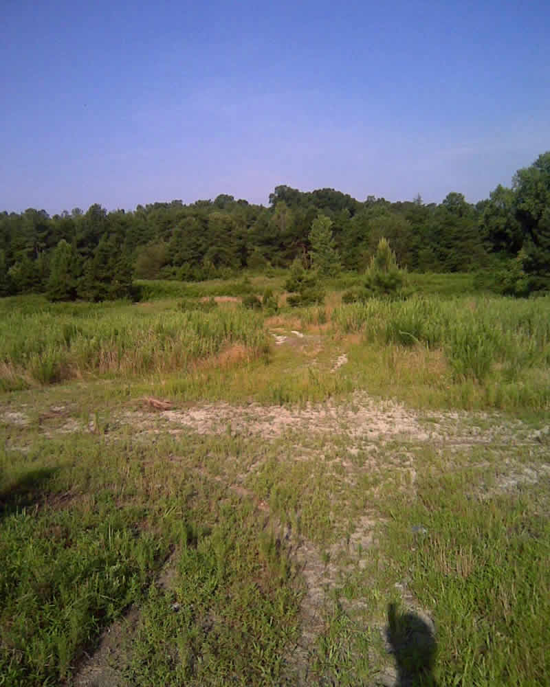 Green Bay Forest Homes and Home Lots for sale in Mooresville, NC.